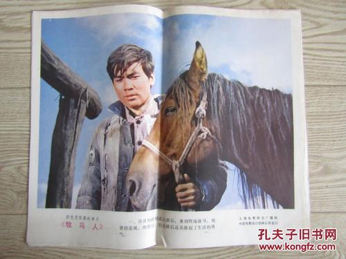 ipma证书D级含金量如何